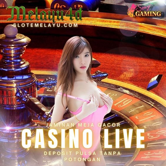 Keamanan Akun dan Data Pribadi di Warga62